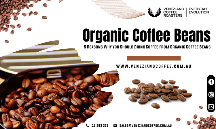organic coffee beans