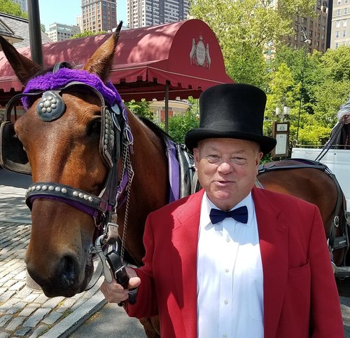 Discovering Serenity: Central Park Carriage Tours Unveiled