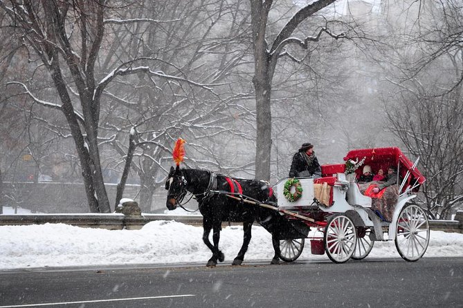 Central Park Horse and Carriage Rides