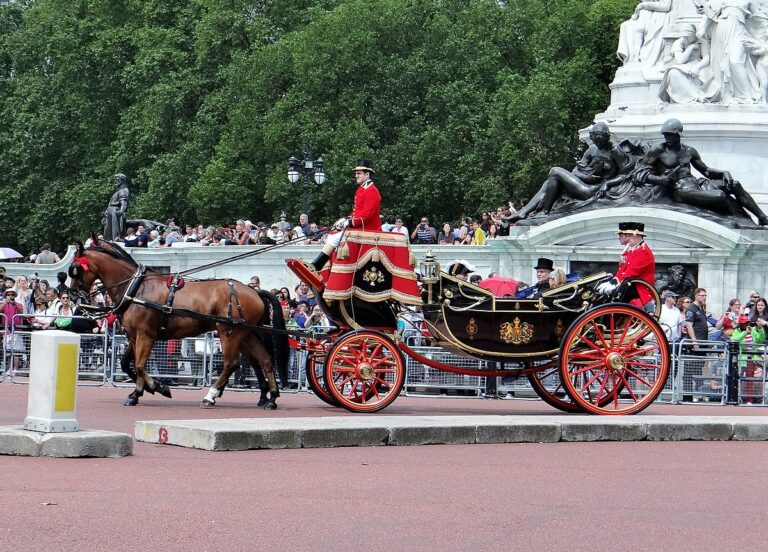 Rediscovering Romance: NYC Horse Carriage Rides in Central Park