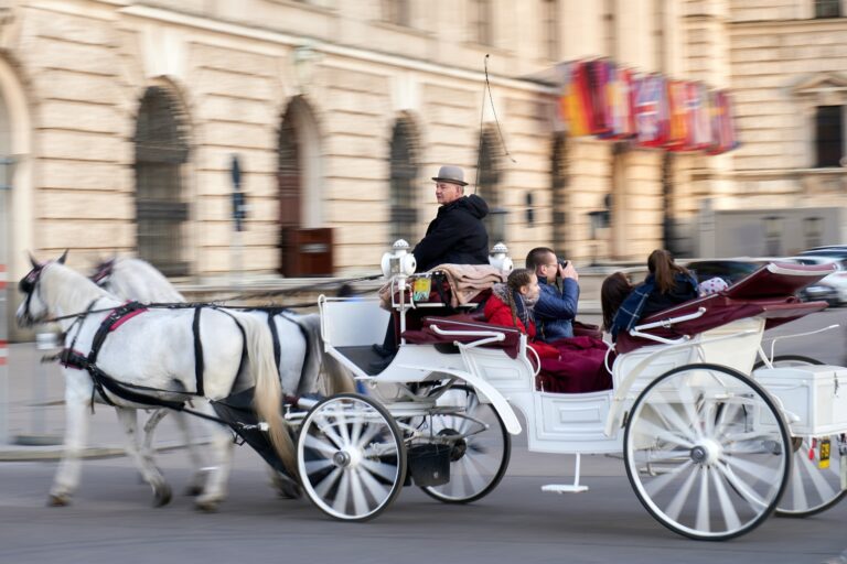 Unveiling the Finest Central Park Horse and Carriage Excursions in New York City