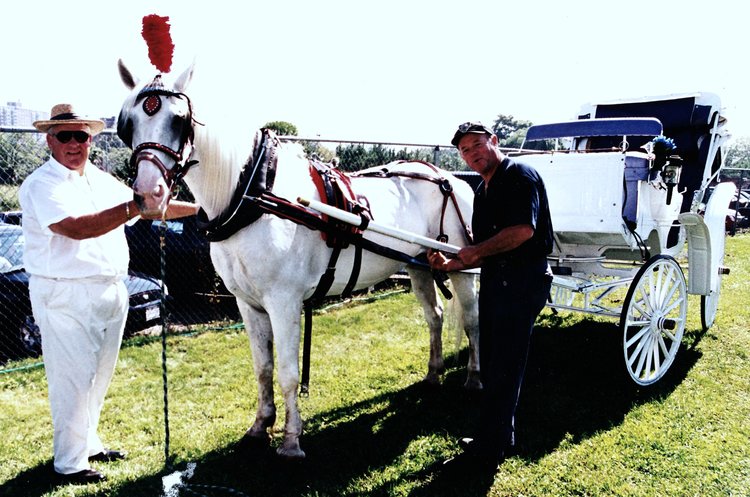 Unveiling the Beauty of Central Park: Your Ultimate Guide to Central Park Carriages