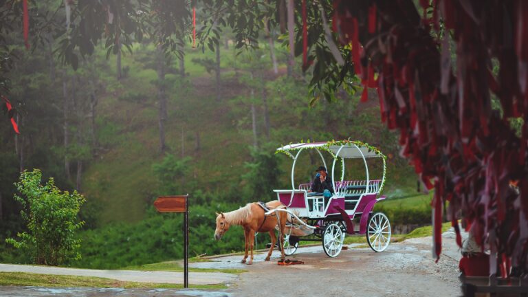 Explore the Enchantment of Central Park Carriages in New York City