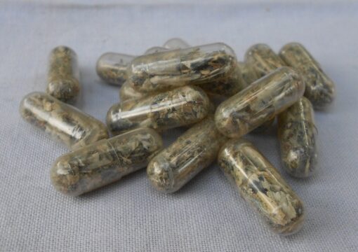 Excellent mushroom capsules