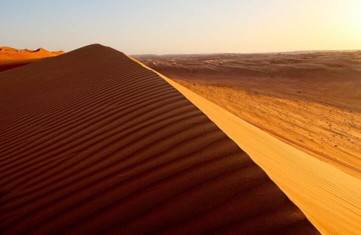 Tour Operator in Oman