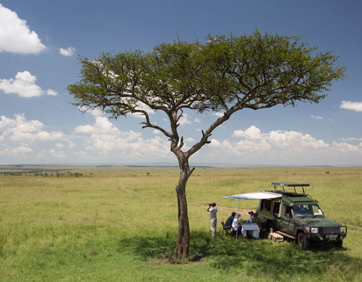 Safari Game Drive