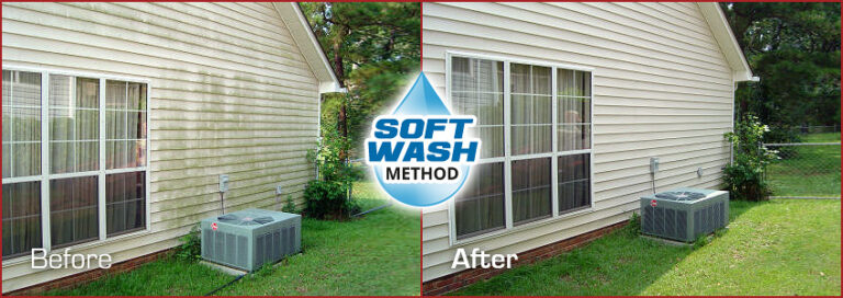 Soft Washing